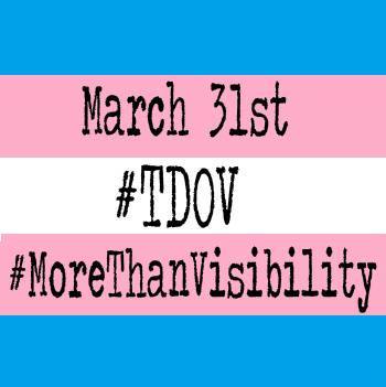 TransDayOfVisibility TransDayOfVisibility