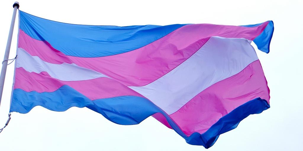 The trans flag flies in the wind.
